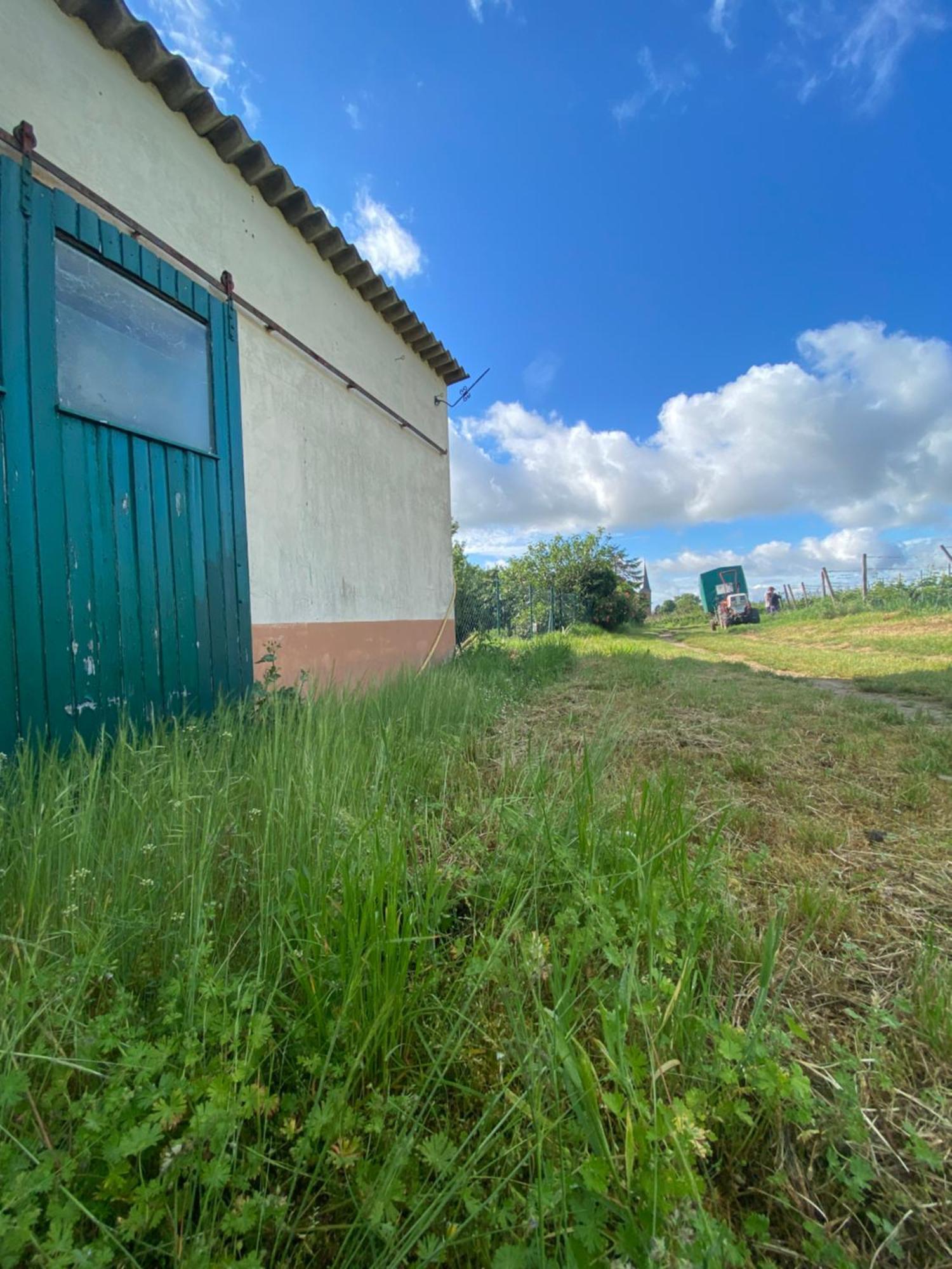 Zum Schockelgaul Gaestehaus Forst an der Weinstrasse Buitenkant foto