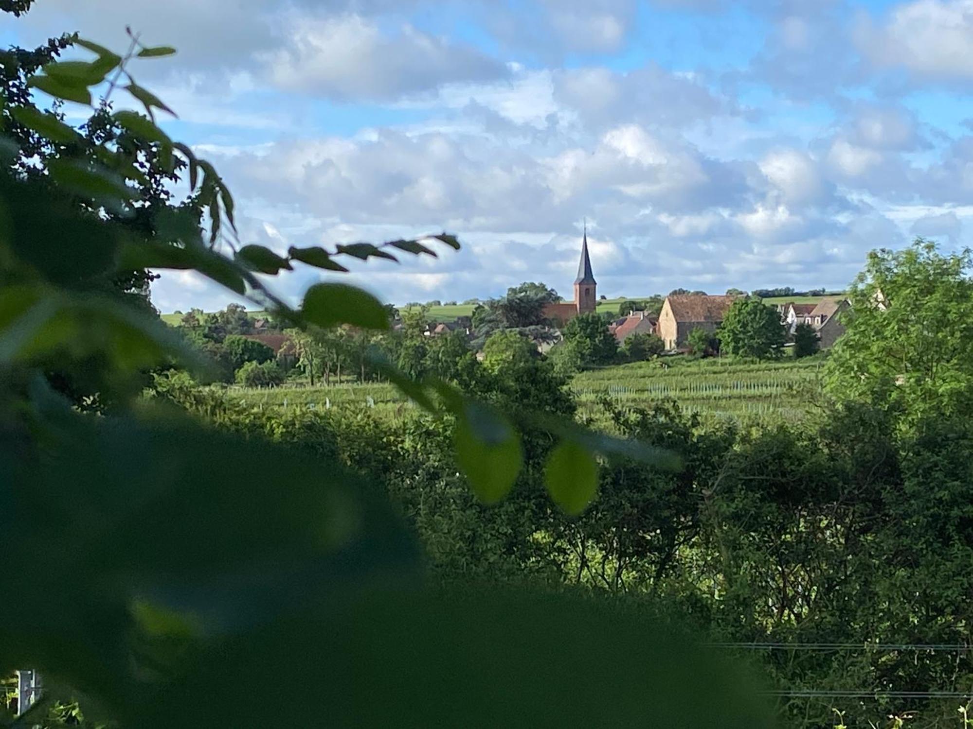 Zum Schockelgaul Gaestehaus Forst an der Weinstrasse Buitenkant foto